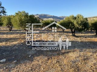 Αγροτεμάχια 6.500 τ.μ. για πώληση, Ν. Λασιθίου, Ιεράπετρα-thumb-18