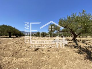 Αγροτεμάχια 6.500 τ.μ. για πώληση, Ν. Λασιθίου, Ιεράπετρα-thumb-11