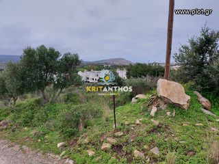 Οικόπεδο 13.370 τ.μ. για πώληση, Ν. Ρεθύμνου, Γεροπόταμος-thumb-5
