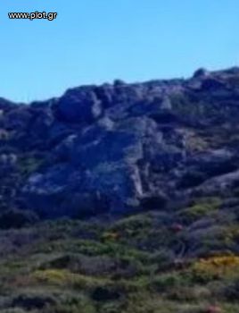 Οικόπεδο 120.000 τ.μ. για πώληση