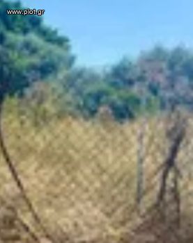 Οικόπεδο 35.000τ.μ. για πώληση-Σαντορίνη » Θήρα
