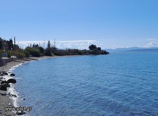 Κτίριο 340 τ.μ. για πώληση, Εύβοια, Λίμνη-thumb-10