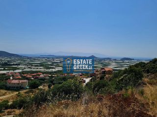 Οικόπεδο 303 τ.μ. για πώληση, Ν. Καβάλας, Ελευθερές-thumb-9