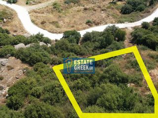 Οικόπεδο 303 τ.μ. για πώληση, Ν. Καβάλας, Ελευθερές-thumb-1