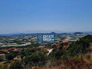 Οικόπεδο 303 τ.μ. για πώληση, Ν. Καβάλας, Ελευθερές-thumb-13
