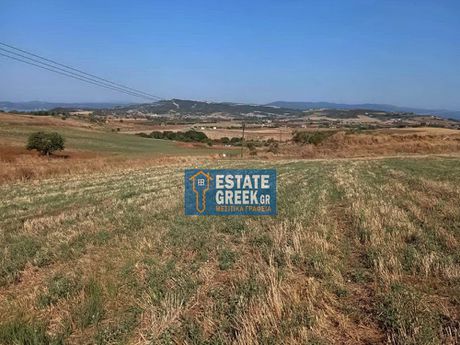 Parcel 4.752sqm for sale-Stagiron - Akanthou » Metochi Agiou Pavlou