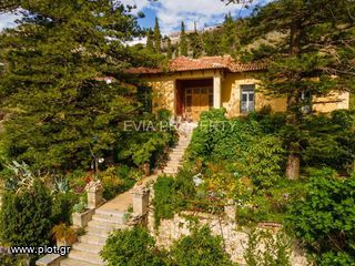 Βίλλα 580 τ.μ. για πώληση, Εύβοια, Λίμνη-thumb-1