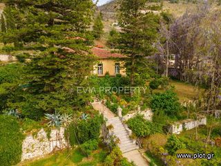 Βίλλα 580 τ.μ. για πώληση, Εύβοια, Λίμνη-thumb-25