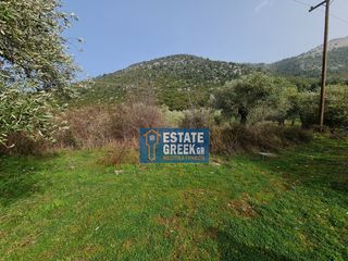Αγροτεμάχια 2.720 τ.μ. πρός πώληση, Ν. Καβάλας, Θάσος-thumb-9