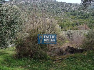 Αγροτεμάχια 2.720 τ.μ. πρός πώληση, Ν. Καβάλας, Θάσος-thumb-13