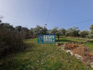 Αγροτεμάχια 2.720 τ.μ. πρός πώληση, Ν. Καβάλας, Θάσος-thumb-5