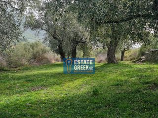 Αγροτεμάχια 2.720 τ.μ. πρός πώληση, Ν. Καβάλας, Θάσος-thumb-8