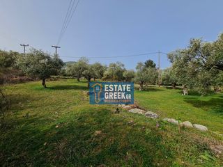 Αγροτεμάχια 2.720 τ.μ. πρός πώληση, Ν. Καβάλας, Θάσος-thumb-2