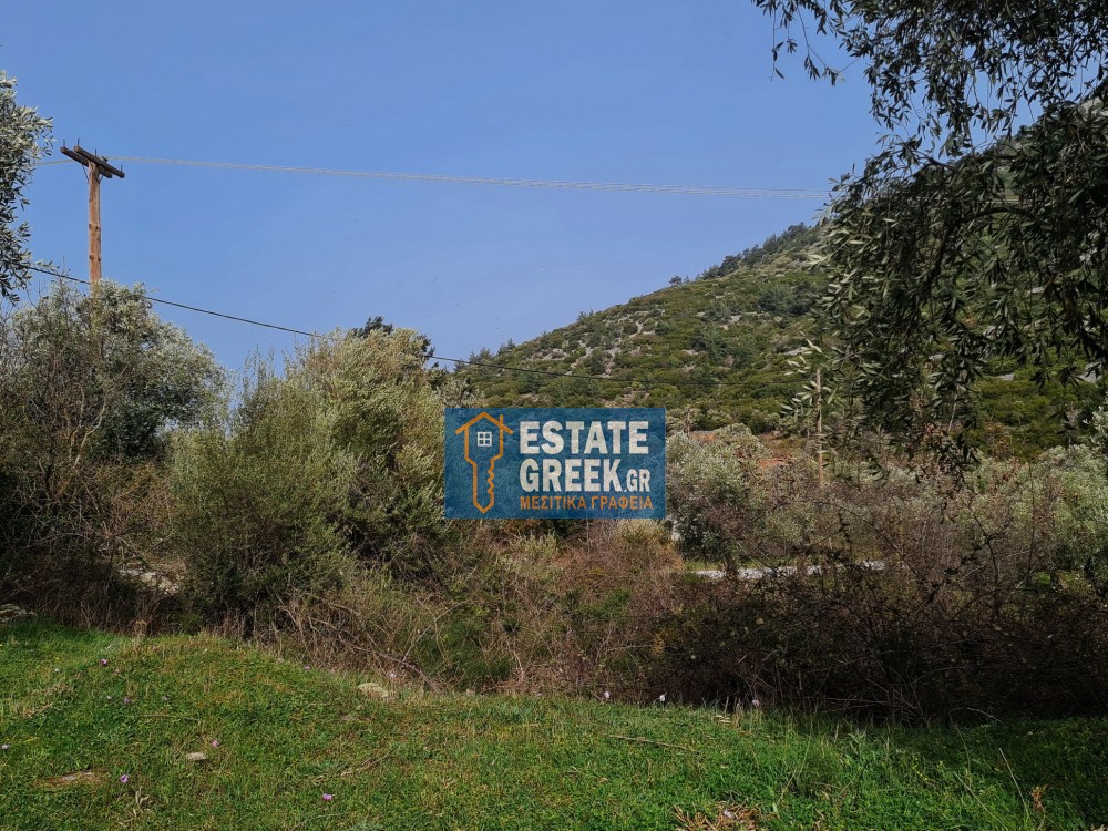 Αγροτεμάχια 2.720 τ.μ. πρός πώληση, Ν. Καβάλας, Θάσος