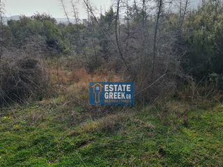 Αγροτεμάχια 2.720 τ.μ. πρός πώληση, Ν. Καβάλας, Θάσος-thumb-12