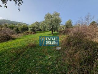 Αγροτεμάχια 2.720 τ.μ. πρός πώληση, Ν. Καβάλας, Θάσος-thumb-14
