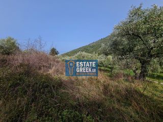 Αγροτεμάχια 2.720 τ.μ. πρός πώληση, Ν. Καβάλας, Θάσος-thumb-11