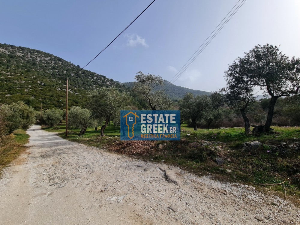 Αγροτεμάχια 2.720 τ.μ. για πώληση, Ν. Καβάλας, Θάσος