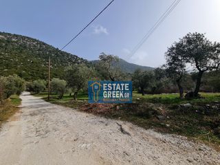 Αγροτεμάχια 2.720 τ.μ. για πώληση