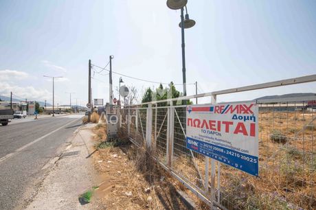 Αγροτεμάχια 3.427τ.μ. για πώληση-Βόλος » Νεάπολη