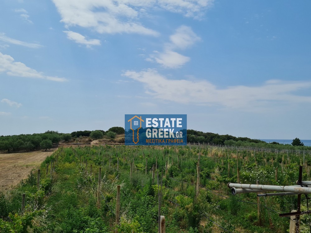 Parcel 2.700 sqm for sale, Kavala Prefecture, Eleitheres