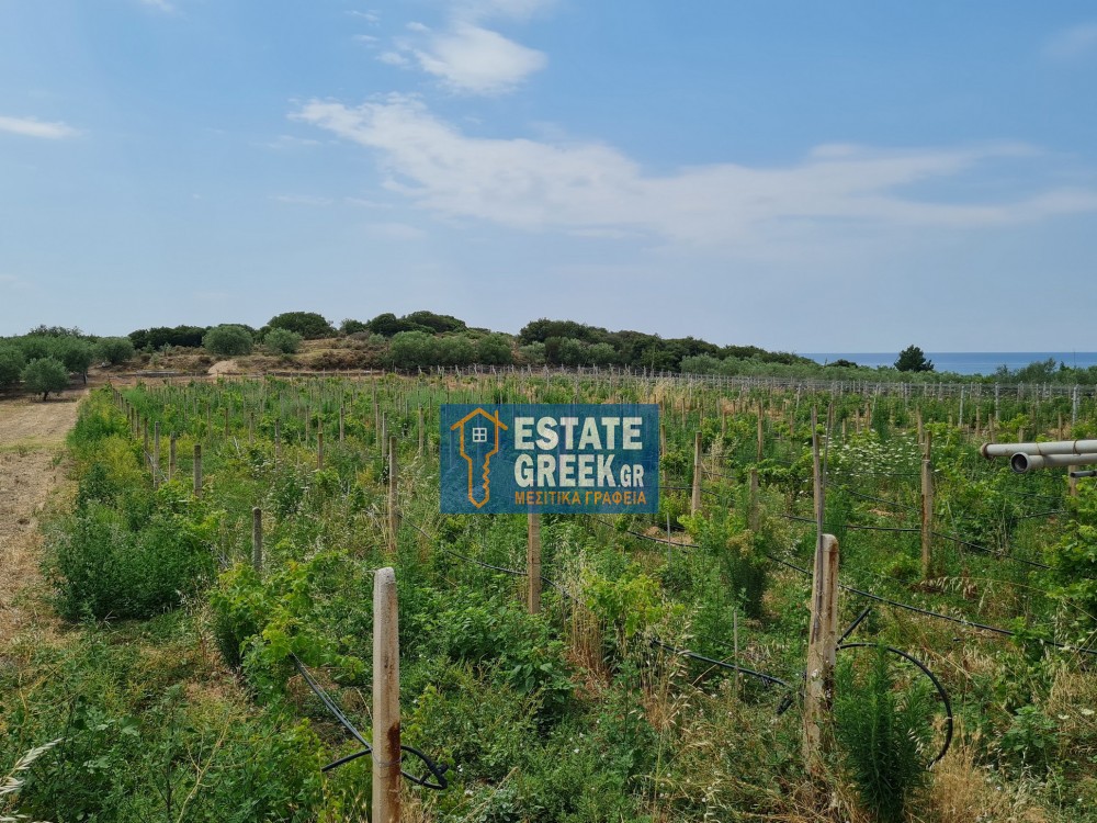 Parcel 2.700 sqm for sale, Kavala Prefecture, Eleitheres