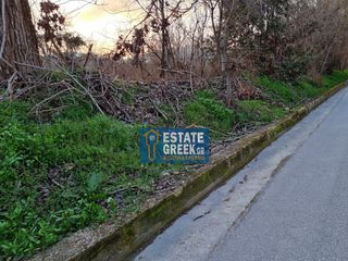 Οικόπεδο 2.000 τ.μ. για πώληση, Ν. Καβάλας, Καβάλα-thumb-2