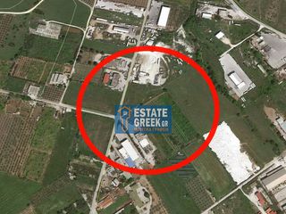 Αγροτεμάχια 8.484 τ.μ. για πώληση