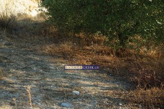 Αγροτεμάχια 9.069 τ.μ. για πώληση, Ν. Καβάλας, Ελευθερές-thumb-20