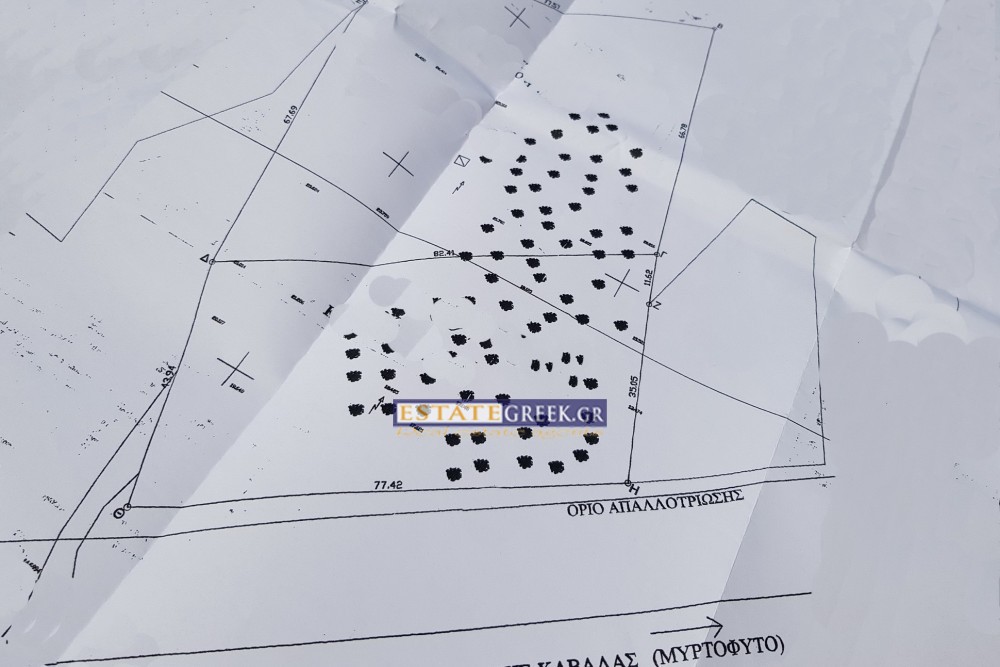 Αγροτεμάχια 9.069 τ.μ. προς πώληση, Πύργος Ελευθερών