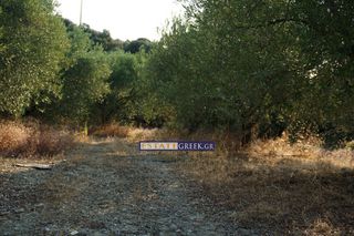 Αγροτεμάχια 9.069 τ.μ. για πώληση, Ν. Καβάλας, Ελευθερές-thumb-10