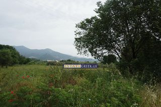 Αγροτεμάχια 5.404 τ.μ. για πώληση, Ν. Καβάλας, Ελευθερές-thumb-8