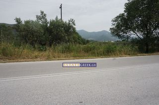Αγροτεμάχια 5.404 τ.μ. για πώληση