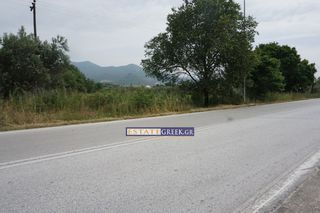 Αγροτεμάχια 5.404 τ.μ. για πώληση, Ν. Καβάλας, Ελευθερές-thumb-3