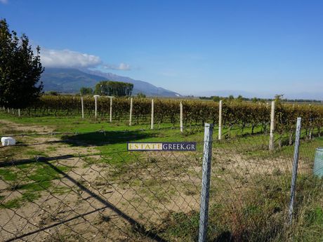 Parcel 14.763sqm for sale-Eleftheroupoli » Center