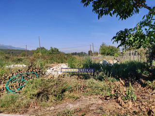 Οικόπεδο 854 τ.μ. για πώληση, Ν. Καβάλας, Ελευθερούπολη-thumb-4