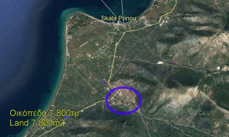Οικόπεδο 7.800 τ.μ. για πώληση