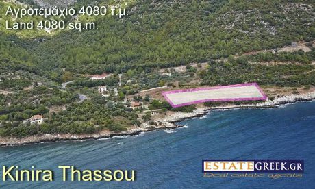 Αγροτεμάχια 4.028 τ.μ. για πώληση