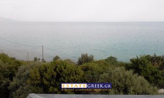 Συγκρότημα διαμερισμάτων 659 τ.μ. για πώληση, Ν. Καβάλας, Ελευθερές-thumb-7