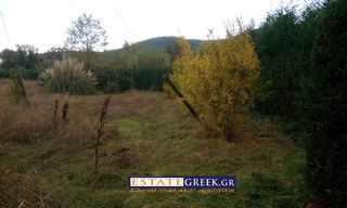 Αγροτεμάχια 4.500 τ.μ. για πώληση, Ν. Καβάλας, Ελευθερές-thumb-1