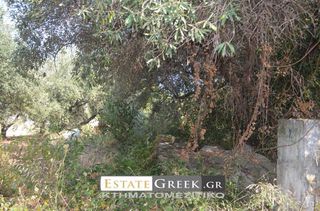 Οικόπεδο 1.650 τ.μ. για πώληση, Ν. Καβάλας, Καβάλα-thumb-3