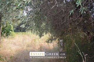 Οικόπεδο 1.650 τ.μ. για πώληση, Ν. Καβάλας, Καβάλα-thumb-4