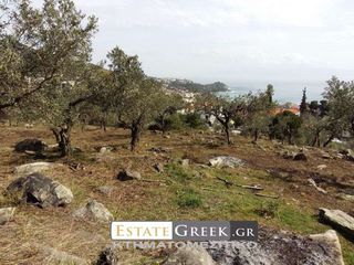 Αγροτεμάχια 36.600 τ.μ. για πώληση, Ν. Καβάλας, Καβάλα-thumb-9