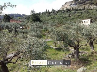 Αγροτεμάχια 36.600 τ.μ. για πώληση, Ν. Καβάλας, Καβάλα-thumb-5