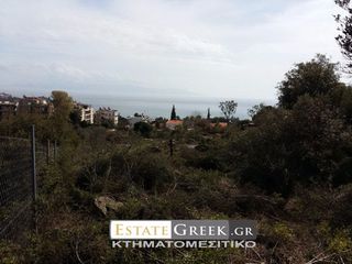 Αγροτεμάχια 36.600 τ.μ. για πώληση, Ν. Καβάλας, Καβάλα-thumb-6