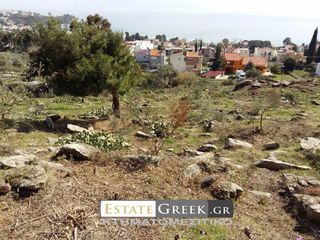 Αγροτεμάχια 36.600 τ.μ. για πώληση, Ν. Καβάλας, Καβάλα-thumb-11