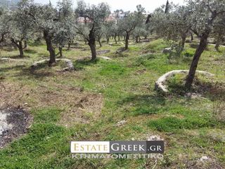 Αγροτεμάχια 36.600 τ.μ. για πώληση, Ν. Καβάλας, Καβάλα-thumb-2