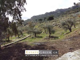 Αγροτεμάχια 36.600 τ.μ. για πώληση, Ν. Καβάλας, Καβάλα-thumb-1