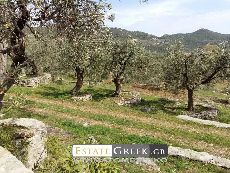 Αγροτεμάχια 36.600 τ.μ. πρός πώληση, Ν. Καβάλας, Καβάλα