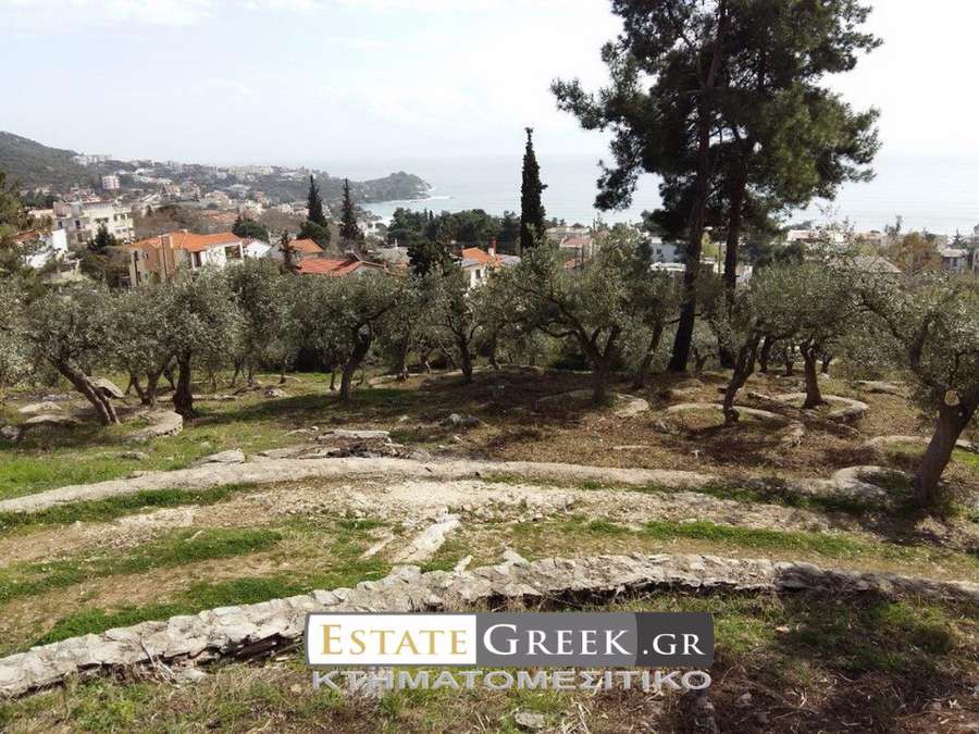 Αγροτεμάχια 36.600 τ.μ. πρός πώληση, Ν. Καβάλας, Καβάλα